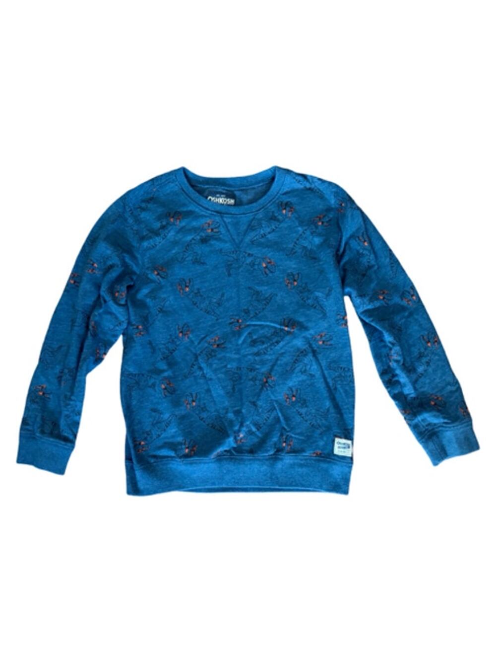 OshKosh B'gosh Boys Sweatshirt Size 12 Blue Graphic Crewneck Pullover